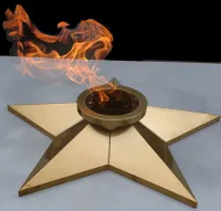 Звезда ø 800 мм. (1631) сертификат комплект горелка ГВД 379 10 89 00 ПС вечный огонь пустотелая  в Курильске